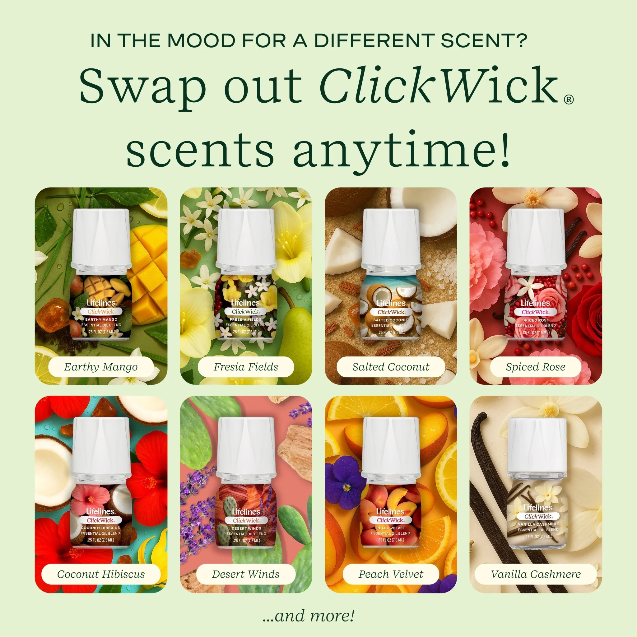 ClickWick® 7.5ml Single - Walk in the Woods - Image 5