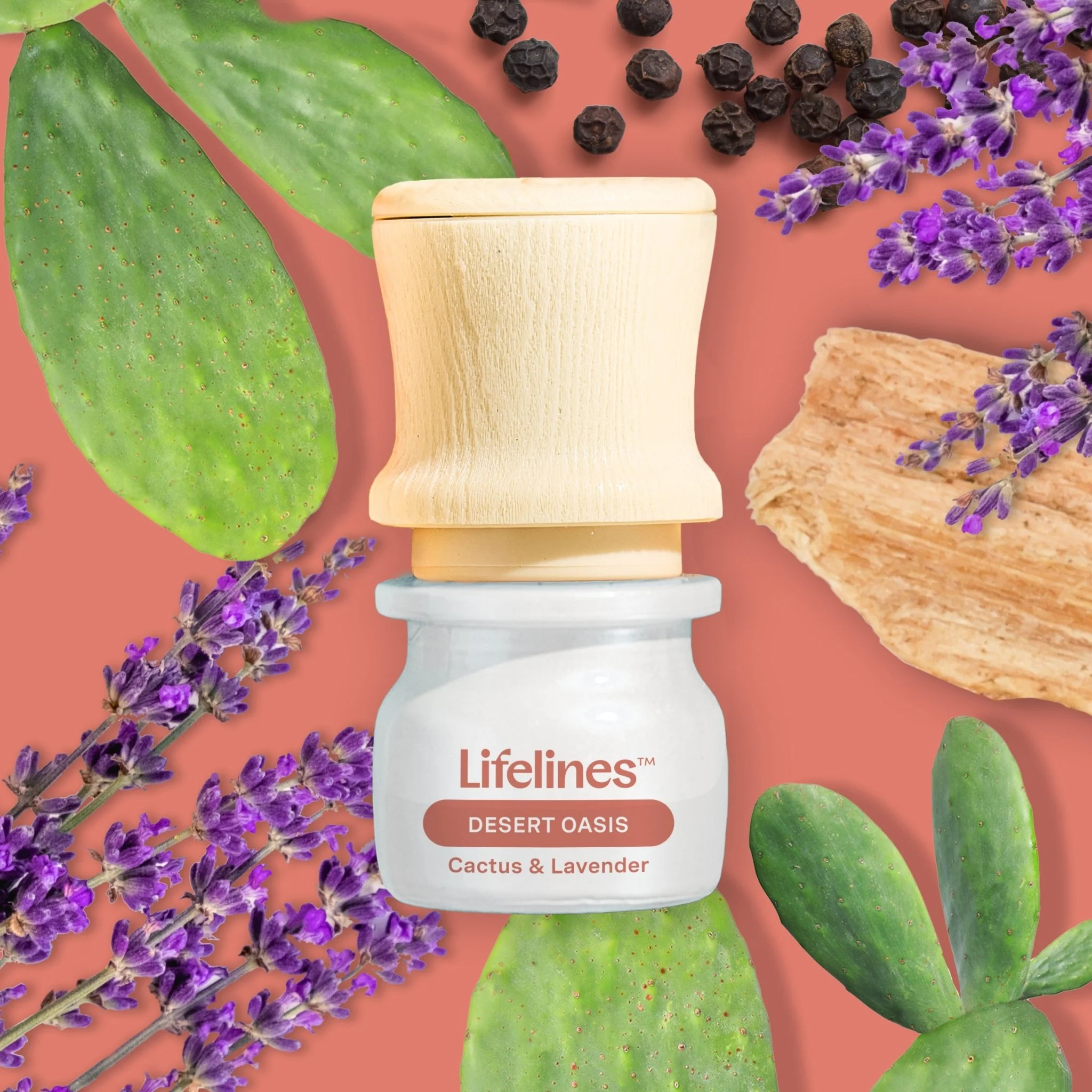 Discovery Set - Be Transported (5 oils) - 3ml - Image 7