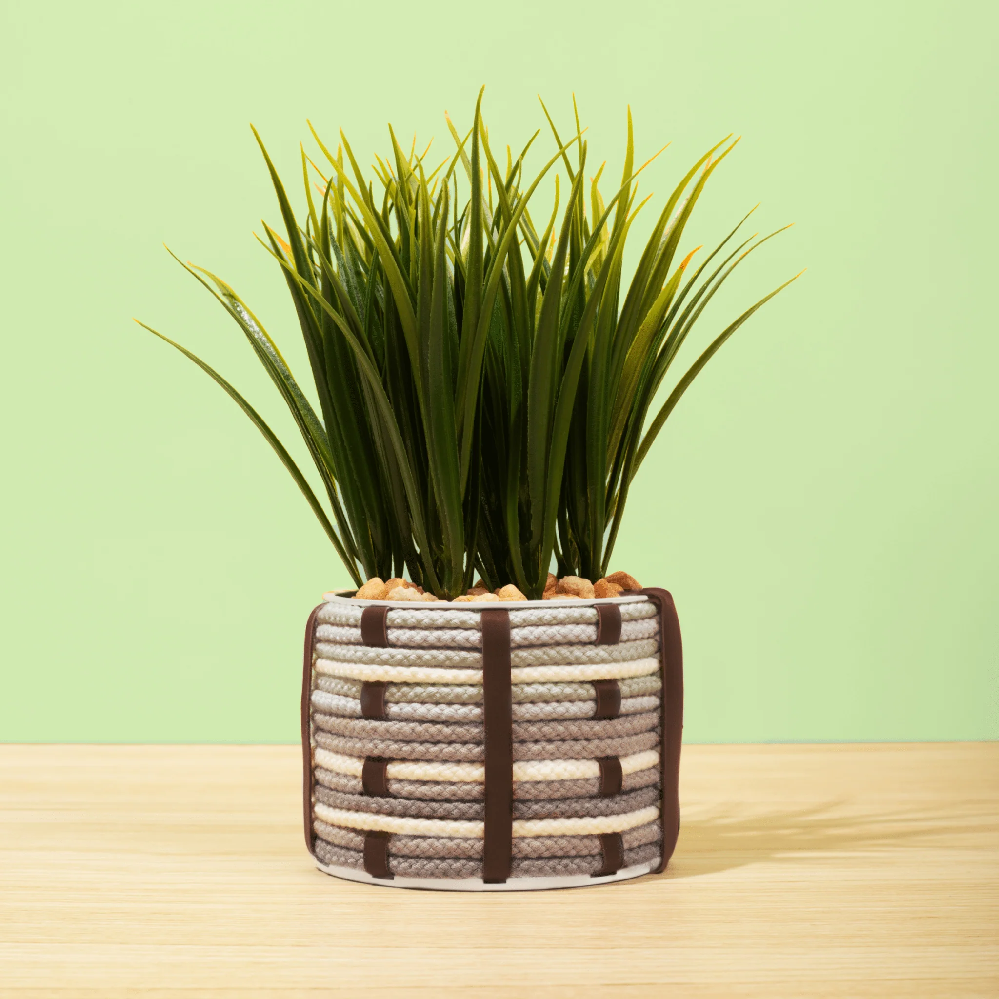 FlowCrafts: Cord-Wrapped Planters - Image 8